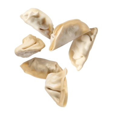 Beyaz arka planda pişmemiş gyoza havası