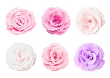 Beyaz arka planda güzel kağıt çiçekler, set. Üst görünüm