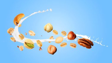 Yulaf gevreği, fındık ve açık mavi arka planda havaya süt sıçratma. Pankart tasarımı