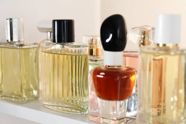 Dükkandaki raflarda farklı lüks parfüm şişeleri var.