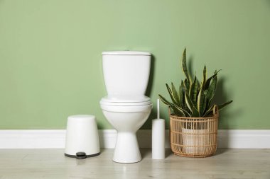 Seramik klozet, fırça, çöp tenekesi ve yeşil duvarın yanındaki ev bitkisi.