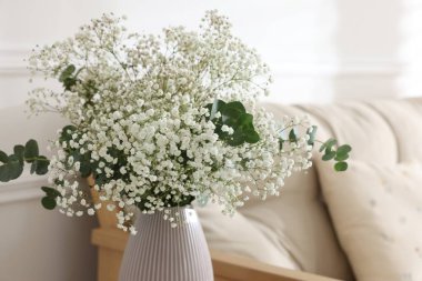 Evdeki vazoda güzel çikila çiçekleri ve okaliptüs dalları, yakın plan.