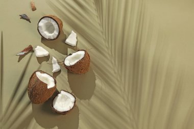 Taze hindistan cevizleri ve açık yeşil arka planda tropikal palmiyelerin oluşturduğu gölgeler düzleşir. Metin için boşluk