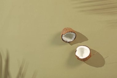 Taze hindistan cevizi ve açık yeşil arka planda tropikal palmiye gölgesi, üst manzara. Metin için boşluk