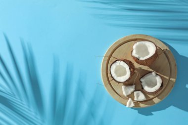 Taze hindistan cevizleri ve açık mavi arka planda tropikal palmiyelerin oluşturduğu gölge. Metin için boşluk