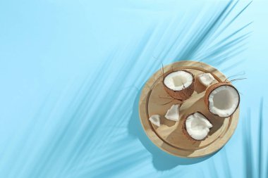 Taze hindistan cevizleri ve açık mavi arka planda tropikal palmiyelerin oluşturduğu gölge. Metin için boşluk