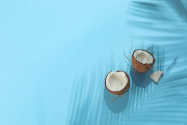 Açık mavi arka planda tropikal palmiye ağacından taze hindistan cevizi ve gölge, üst manzara. Metin için boşluk