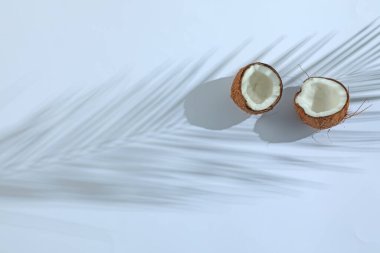 Taze hindistan cevizi ve açık gri arka planda tropikal palmiye gölgesi, üst manzara. Metin için boşluk