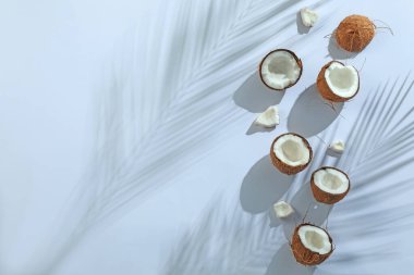 Taze hindistan cevizleri ve açık gri arka planda tropikal palmiyelerin oluşturduğu gölgeler düzleşir. Metin için boşluk