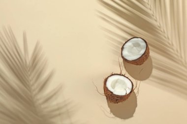 Taze hindistancevizi ve gölgesi bej arka planda tropikal palmiye tarafından yapılmış, üst görünüm. Metin için boşluk