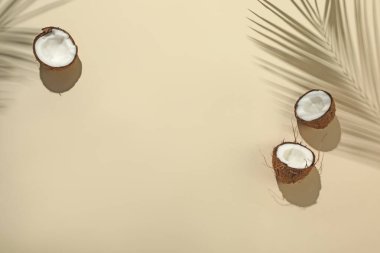 Taze hindistan cevizleri ve bej arka planda tropikal palmiyelerin oluşturduğu gölgeler. Metin için boşluk