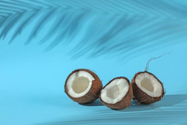 Taze hindistan cevizleri ve açık mavi arka planda tropikal palmiyelerin oluşturduğu gölge. Metin için boşluk