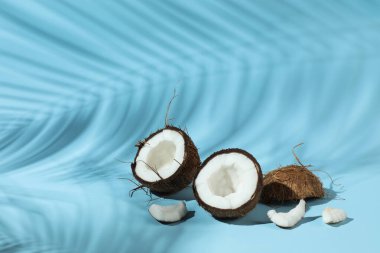 Taze hindistan cevizleri ve açık mavi arka planda tropikal palmiyelerin oluşturduğu gölge. Metin için boşluk