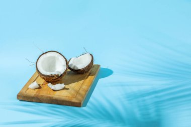 Taze hindistan cevizi ve açık mavi arka planda tropikal palmiye tarafından dökülen gölge. Metin için boşluk