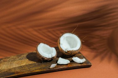 Taze hindistan cevizi ve gölge açık kahverengi arka planda tropikal palmiye, yakın çekim