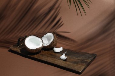 Taze hindistan cevizi ve gölge açık kahverengi arka planda tropikal palmiye, yakın çekim