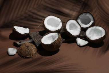 Kahverengi arka planda tropikal palmiyelerin taze hindistan cevizleri ve gölgesi