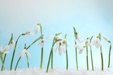 Açık mavi arkaplan üzerinde güzel kar damlaları, yakın plan