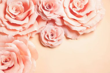 Bej arka planda güzel pembe kağıt çiçekler, düz yatış. Metin için boşluk