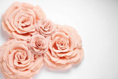 Beyaz arka planda güzel pembe kağıt çiçekler, düz bir zemin. Metin için boşluk