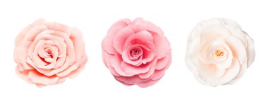 Beyaz arka planda güzel kağıt çiçekler, set. Üst görünüm