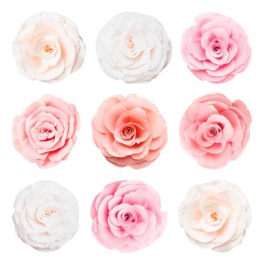 Beyaz arka planda güzel kağıt çiçekler, kolaj. Üst görünüm