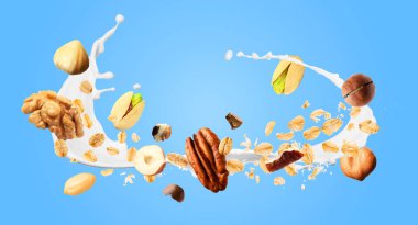 Yulaf gevreği, fındık ve açık mavi arka planda havaya süt sıçratma. Pankart tasarımı