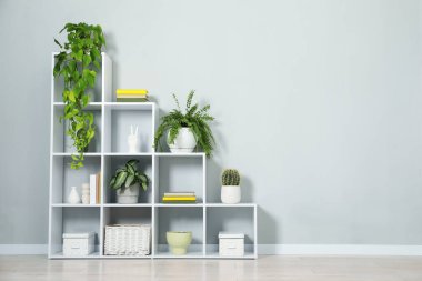 Shelving unit with green houseplants and other decor near light grey wall indoors, space for text