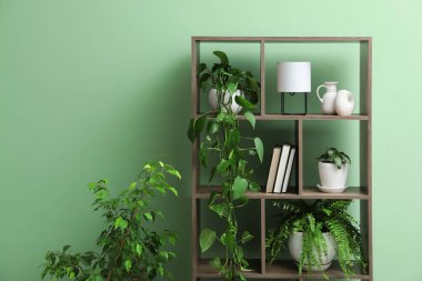 Kapalı alandaki yeşil duvarın yanında ev bitkileri ve diğer dekorlarla raf ünitesi.