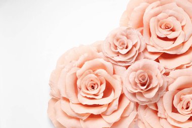 Beyaz arka planda güzel pembe kağıt çiçekler, düz bir zemin. Metin için boşluk