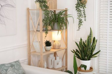 Ev bitkileri ve farklı ev dekorasyonu olan raf ünitesi.