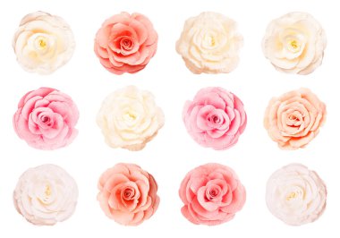 Beyaz arka planda güzel kağıt çiçekler, kolaj. Üst görünüm