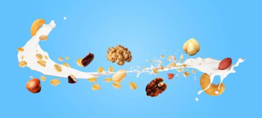 Yulaf gevreği, fındık ve açık mavi arka planda havaya süt sıçratma. Pankart tasarımı