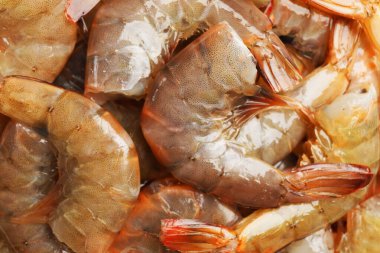 Arka plan olarak taze çiğ karidesler, yakın plan. Deniz yiyeceği