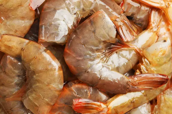 Arka plan olarak taze çiğ karidesler, yakın plan. Deniz yiyeceği