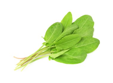 Taze yeşil kuş yaprakları beyaz, üst görünümde izole