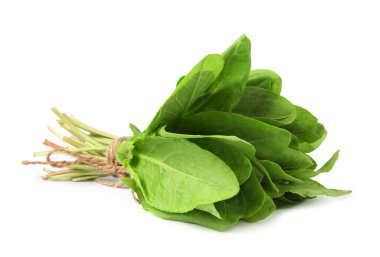 Bir demet taze yeşil kuş yaprakları beyaz üzerinde izole.