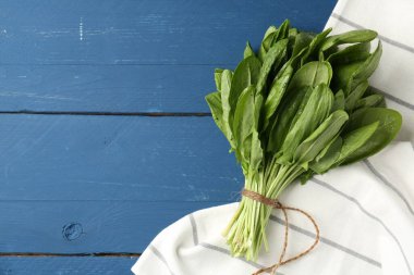 Mavi ahşap masanın üstünde taze yeşil defne yaprakları var. Metin için boşluk