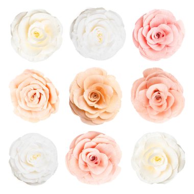 Beyaz arka planda güzel kağıt çiçekler, kolaj. Üst görünüm