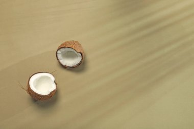 Taze hindistan cevizi ve açık yeşil arka planda tropikal palmiye gölgesi, üst manzara. Metin için boşluk