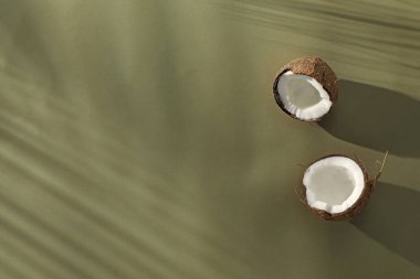 Taze hindistan cevizi ve açık yeşil arka planda tropikal palmiye gölgesi, üst manzara. Metin için boşluk