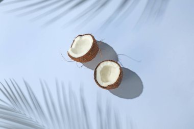 Taze hindistan cevizi ve gölge açık gri arka planda tropikal palmiye, üst görünüm