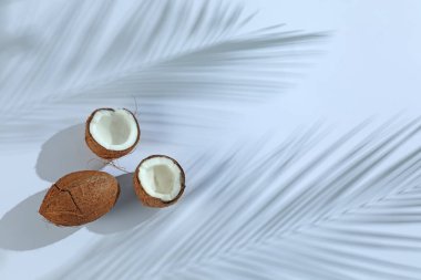 Taze hindistan cevizleri ve açık gri arka planda tropikal palmiyelerin oluşturduğu gölgeler düzleşir. Metin için boşluk