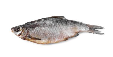 Kurutulmuş tuzlu hamamböceği balığı beyaza izole edilmiş.