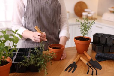 Mutfaktaki masaya bitki eken kadın, yakın plan.