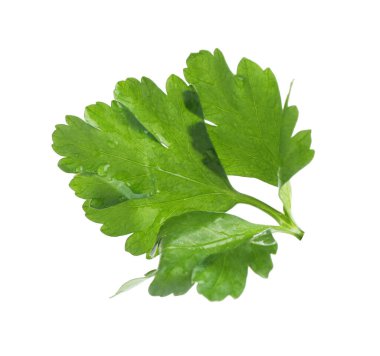 Beyaz maydanozlu taze maydanoz.