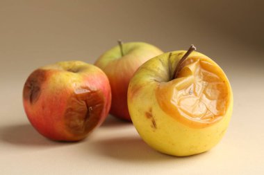 Bej arka planda üç çürük elma, yakın plan.