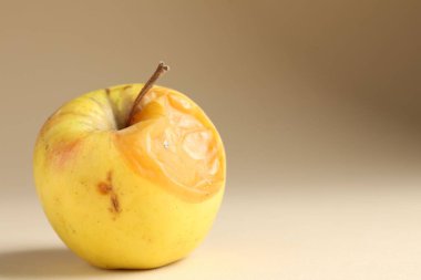 Bej arka planda bir çürük elma, yakın plan. Metin için boşluk