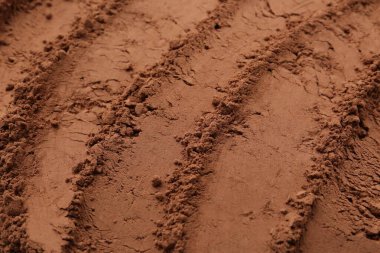 Süper gıda takviyesi. Arka plan olarak kakao tozu, yakın plan