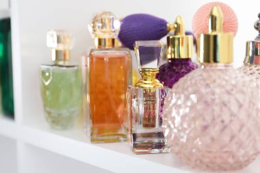 Dükkandaki raflarda farklı lüks parfüm şişeleri var.